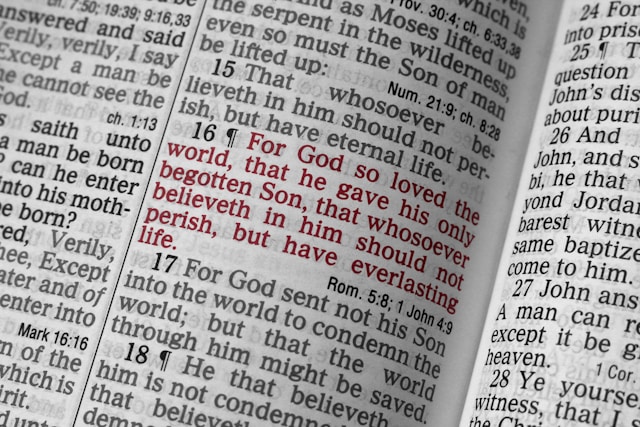 Bible scripture with red font on John chapter 3 verse 16